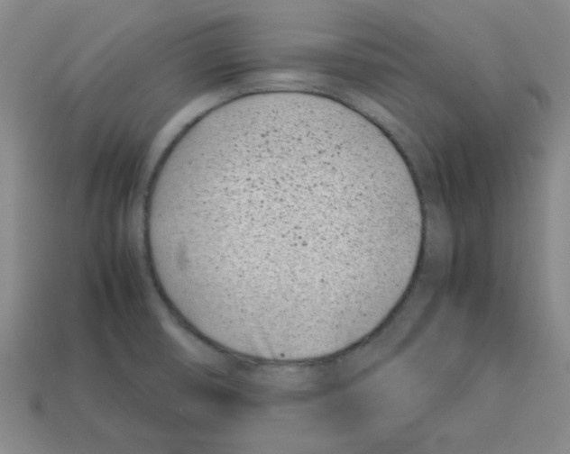 X0000112791474200910021049