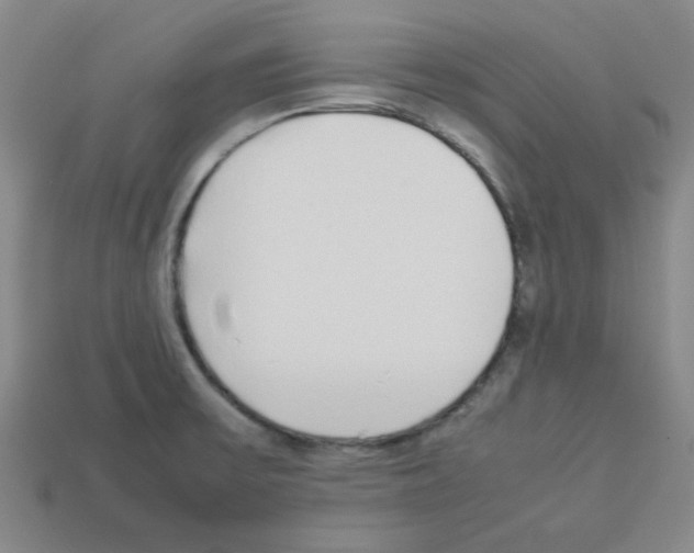 X0000112791475200910021049