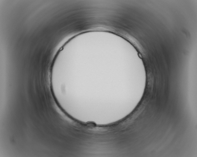 X0000112791476200910021049