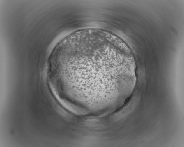 X0000112791477200910021049