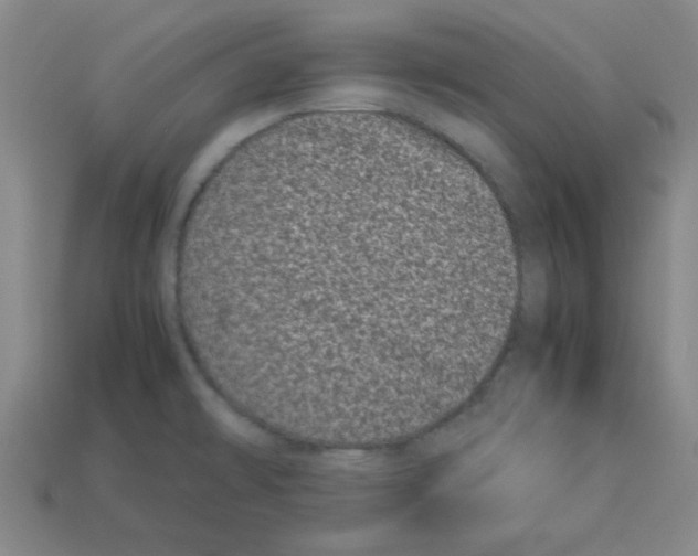 X0000112791478200910021049