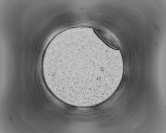 X0000112791483200910021049