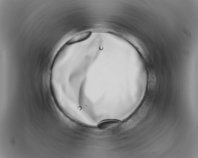 X0000112791484200910021049