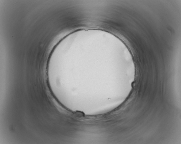 X0000112791485200910021049