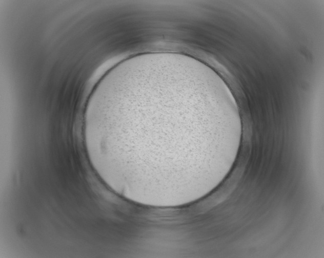 X0000112791486200910021049