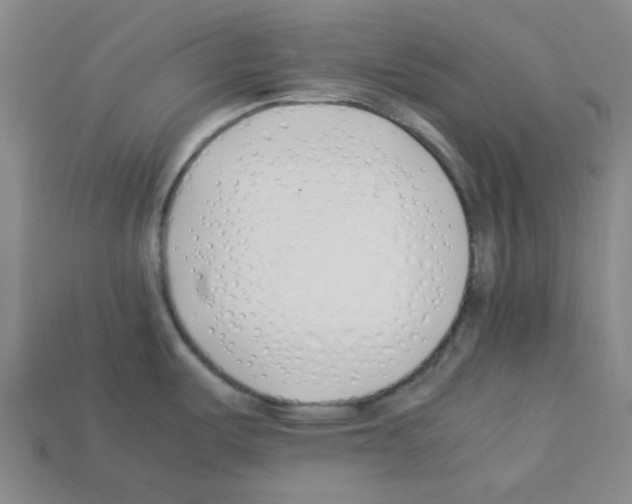 X0000112791487200910021048