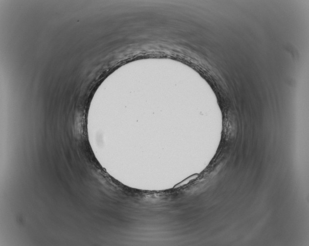 X0000112791490200910021048