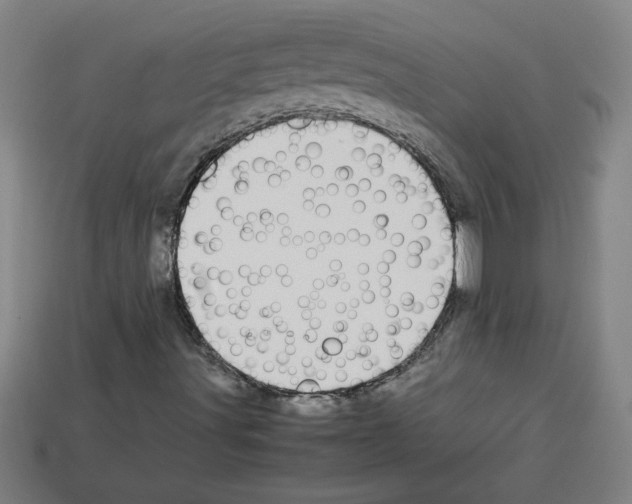 X0000112791491200910021048