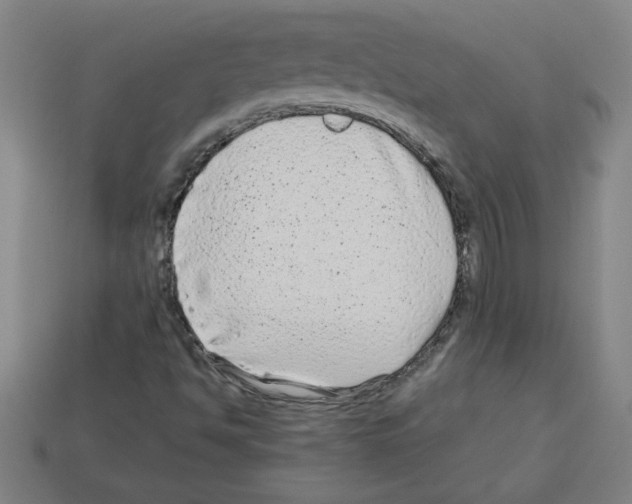 X0000112791494200910021048