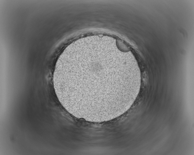 X0000112791495200910021048