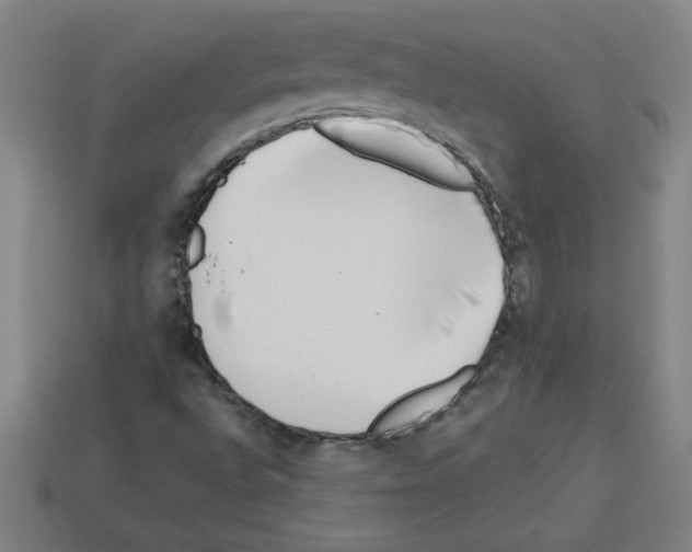 X0000112791496200910021048