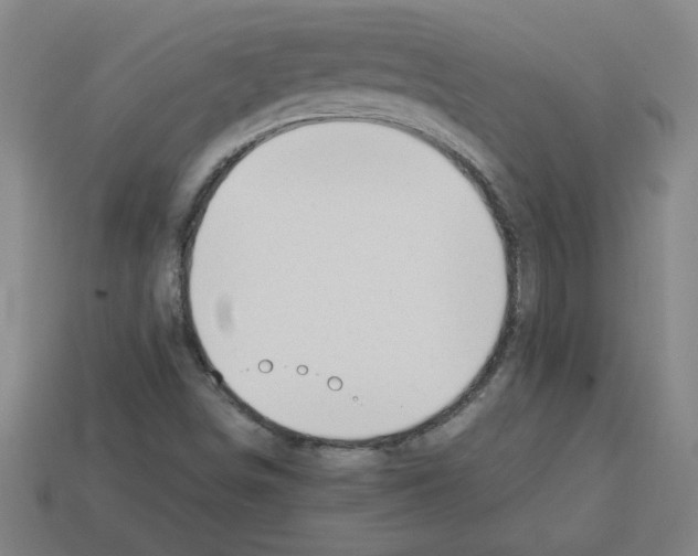 X0000112791498200910021048