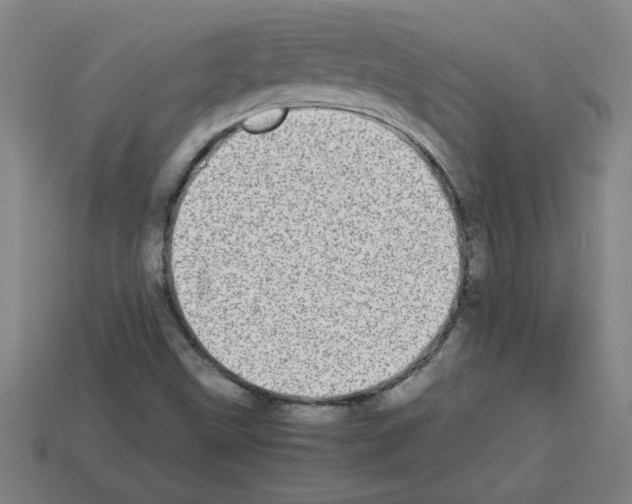 X0000112791499200910021048