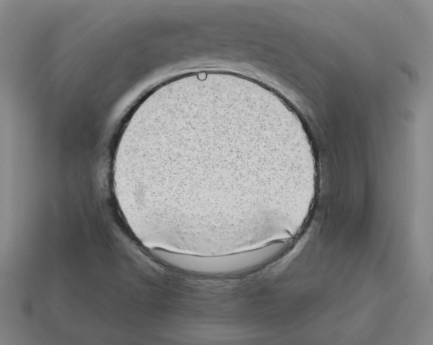 X0000112791502200910021048