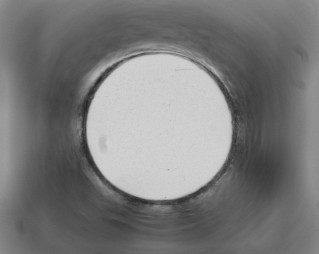 X0000112791503200910021048