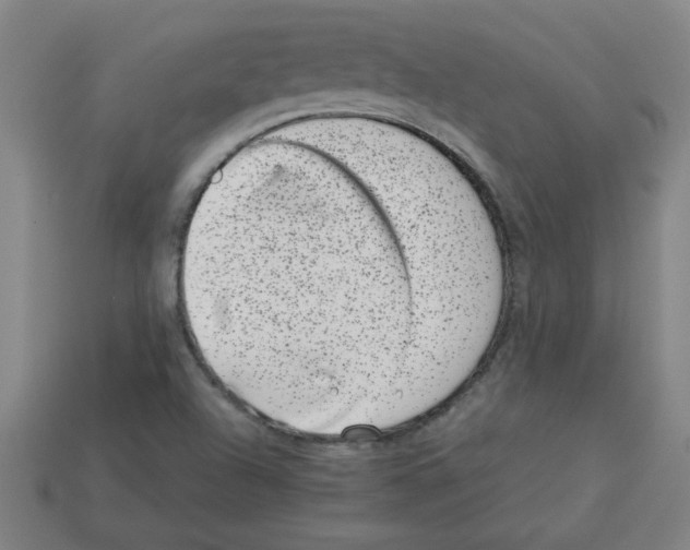 X0000112791504200910021048