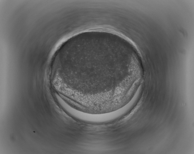 X0000112791506200910021048