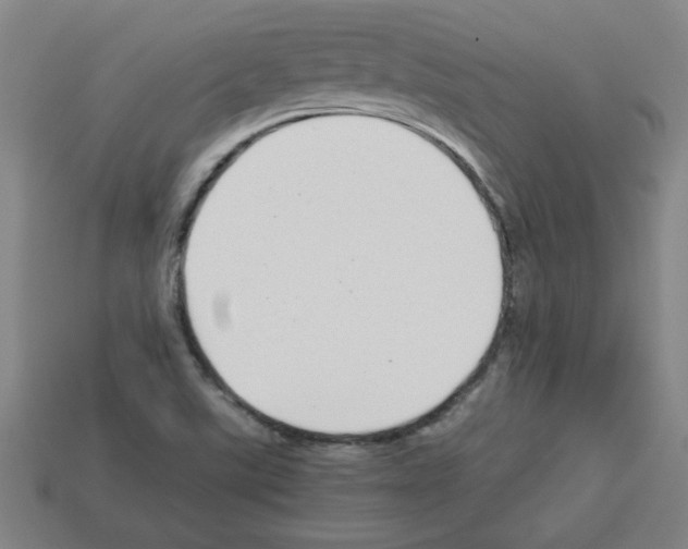 X0000112791507200910021048