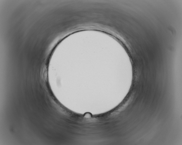 X0000112791509200910021048