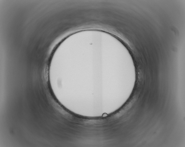 X0000112791510200910021048