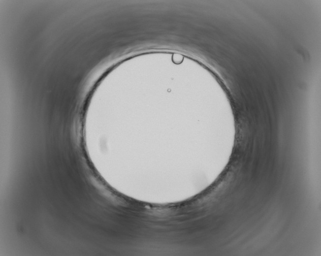 X0000112791511200910021048