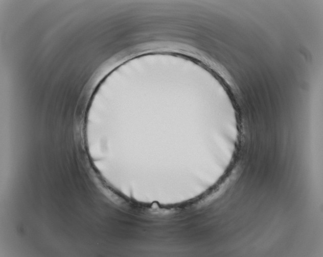 X0000112791513200910021048