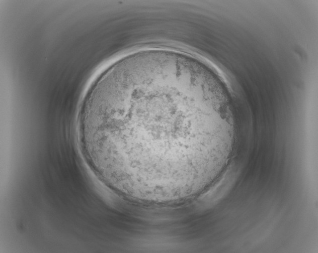 X0000112791514200910021048