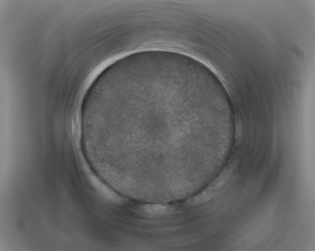 X0000112791515200910021048