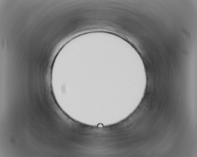 X0000112791516200910021048