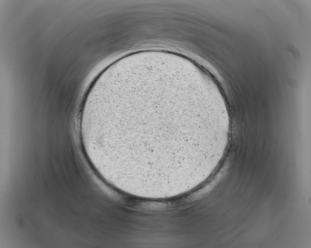 X0000112791517200910021048