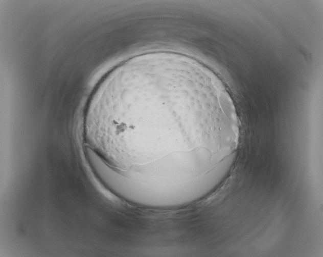 X0000112791519200910021048