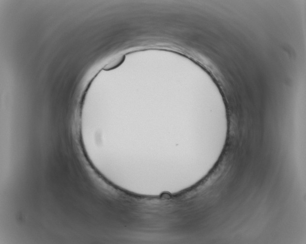 X0000112791520200910021048