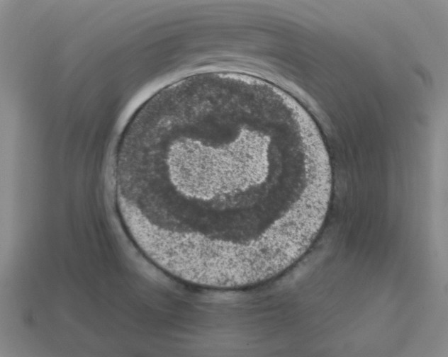 X0000112791522200910021048