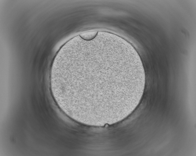 X0000112791526200910021048