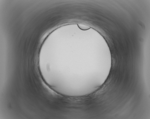 X0000112791527200910021048