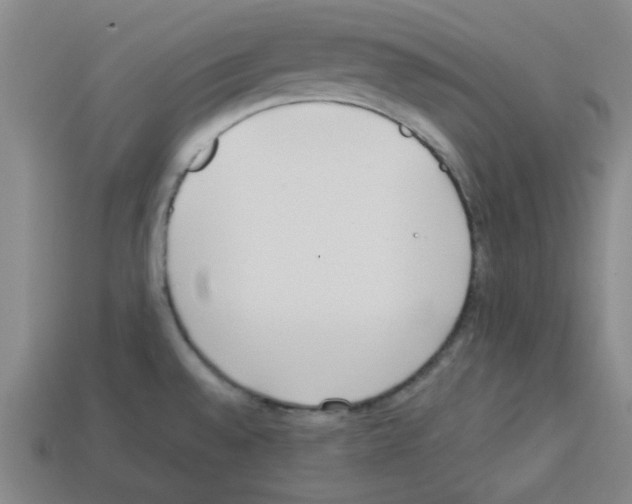 X0000112791528200910021048