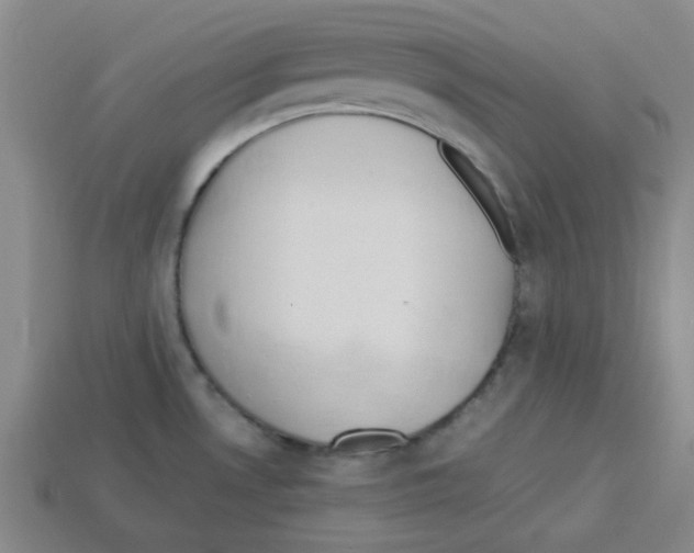 X0000112791530200910021048