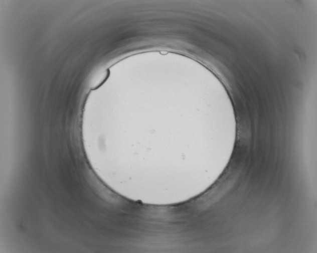 X0000112791532200910021048