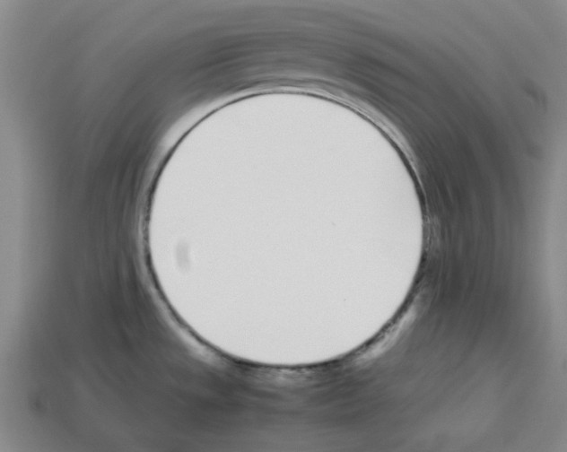 X0000112791533200910021048