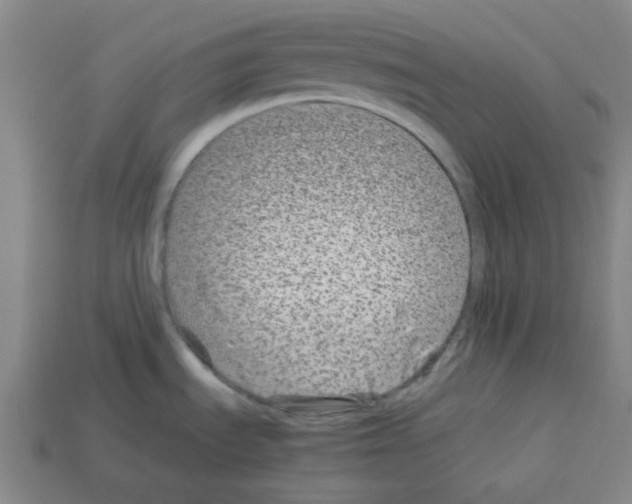 X0000112791535200910021048