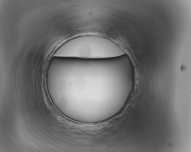 X0000112800001200908211013