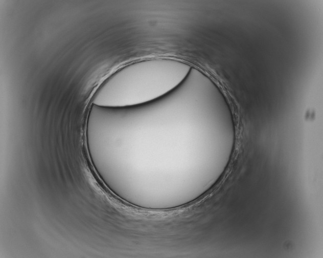 X0000112800002200908211013