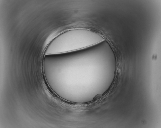 X0000112800004200908211013