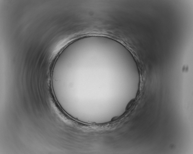 X0000112800005200908211013