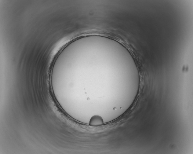 X0000112800006200908211013
