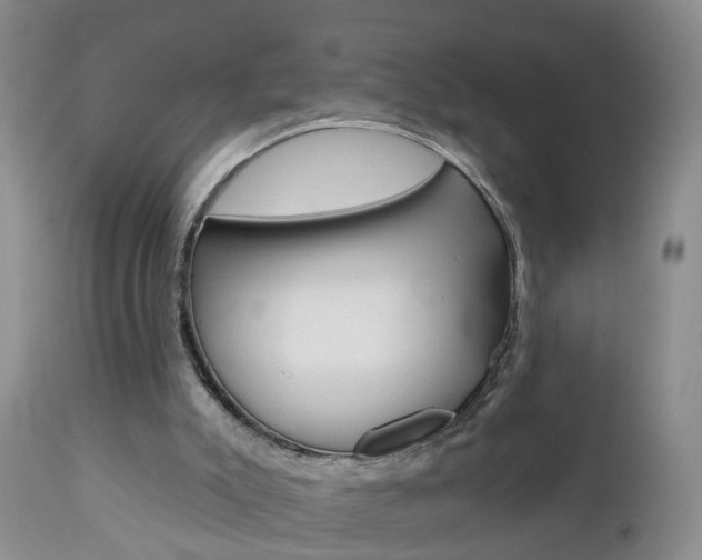 X0000112800007200908211013
