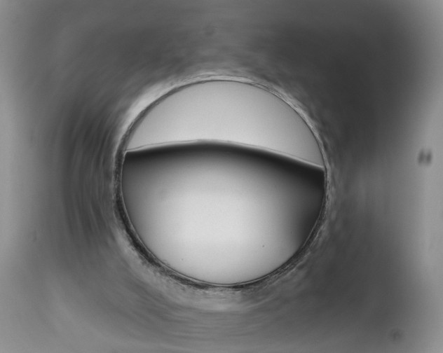 X0000112800008200908211013
