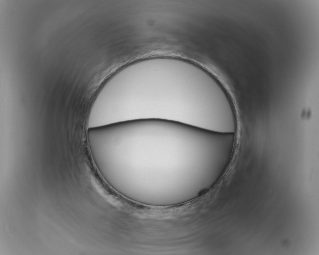 X0000112800009200908211013