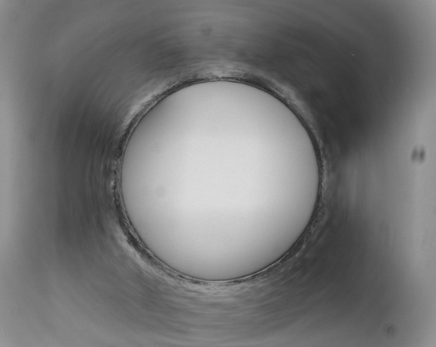 X0000112800010200908211013