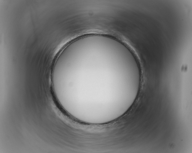 X0000112800011200908211013
